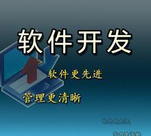 【开发定制】财务管理软件,企业管理软件,ERP系统,OA系统