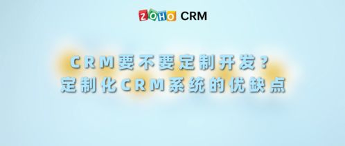 定制开发crm系统的优缺点